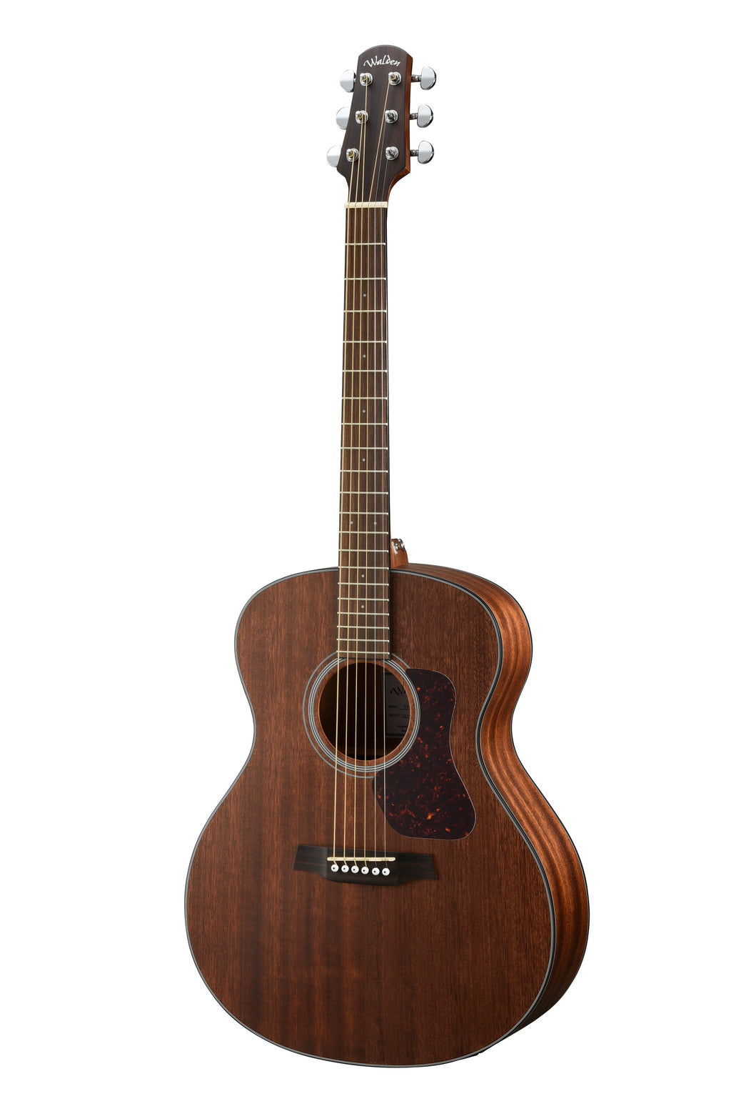 Walden G551E Grand Auditorium body, Solid Mahogany top | Mahogany back