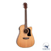 Washburn AD5CEPACK Acoustic Guitar Pack Apprentice, Natural Dreadnought w/ Cutaway & EQ