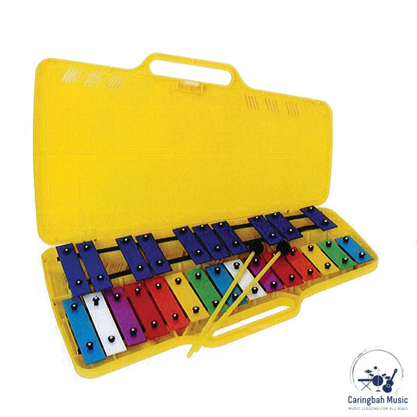 Coyote C8204 Glockenspiel 25 Note Junior Coloured